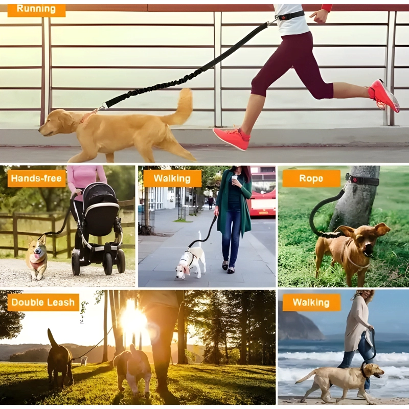 CINTURON CORREA RESISTENTE CORRER CON TU PERRO DOBLE GANCHO - 4