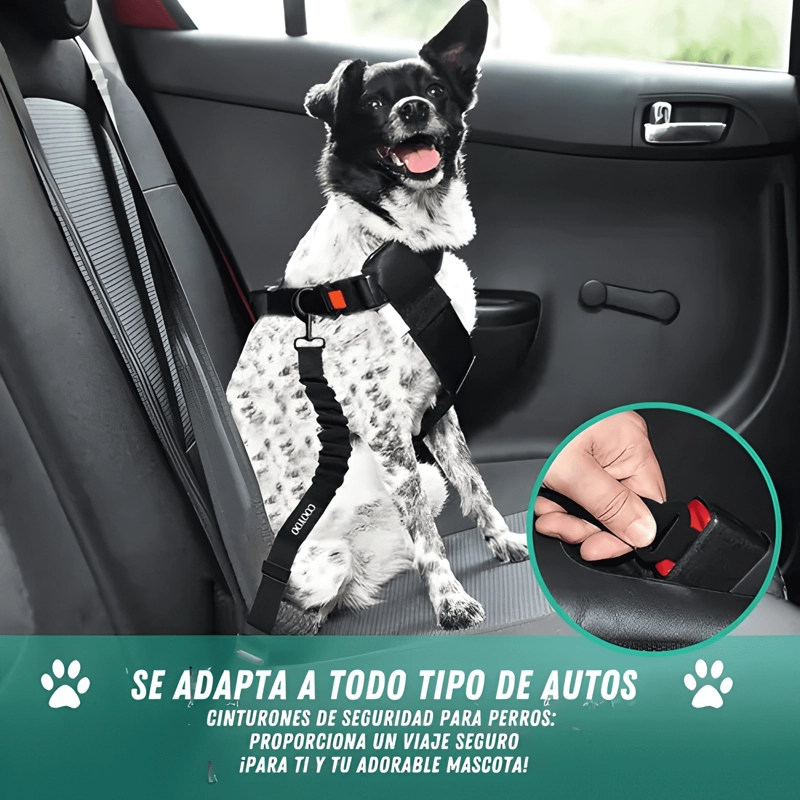 PACK 2 CORREA SEGURIDAD AUTO PERRO GATO MASCOTA RESORTE BOWL - 4