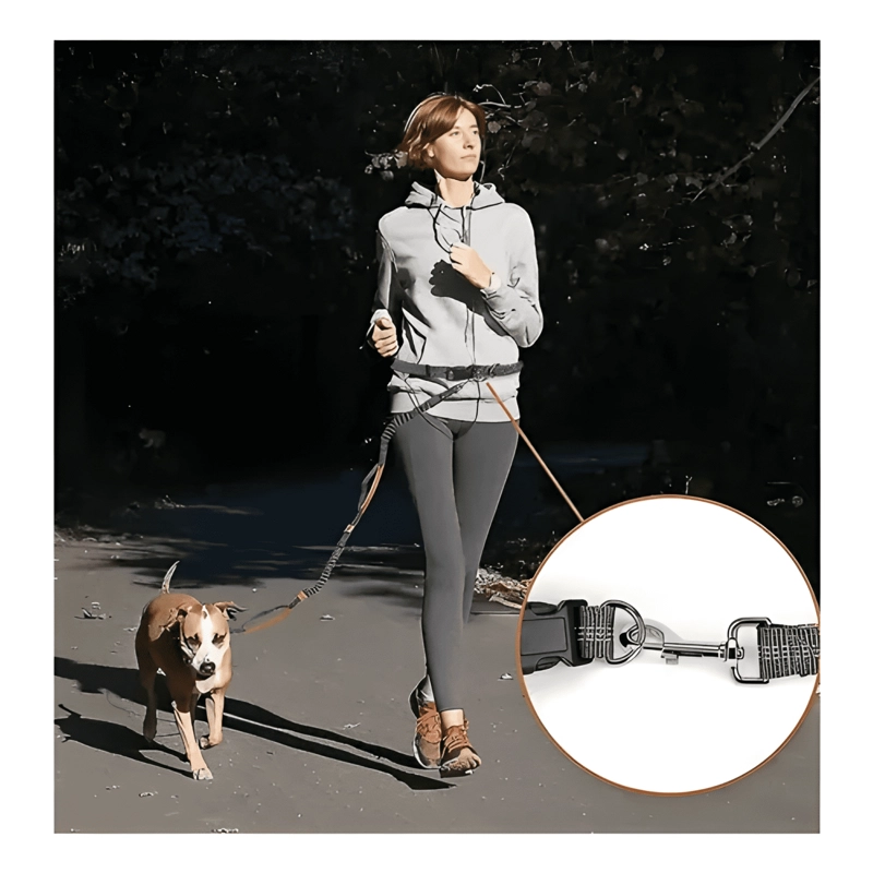 CORREA ELASTICA CINTURA PASEO MASCOTAS CINTURON PASEO PERROS - 4