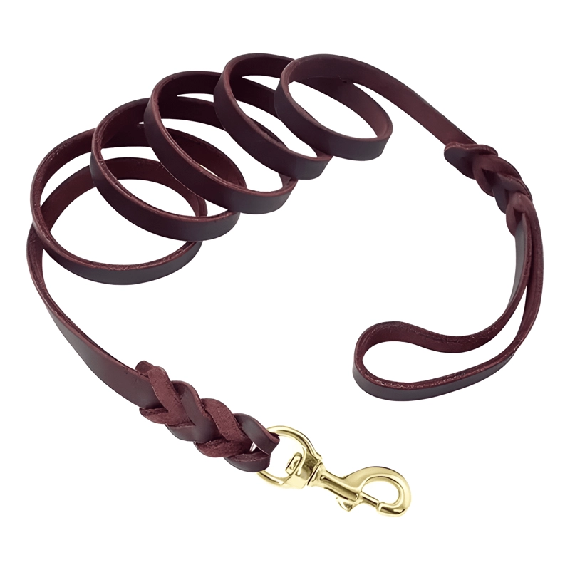 2M X 1.6CM CORREA DE CUERO PARA PERROS MEDIANOS Y GRANDES - 2