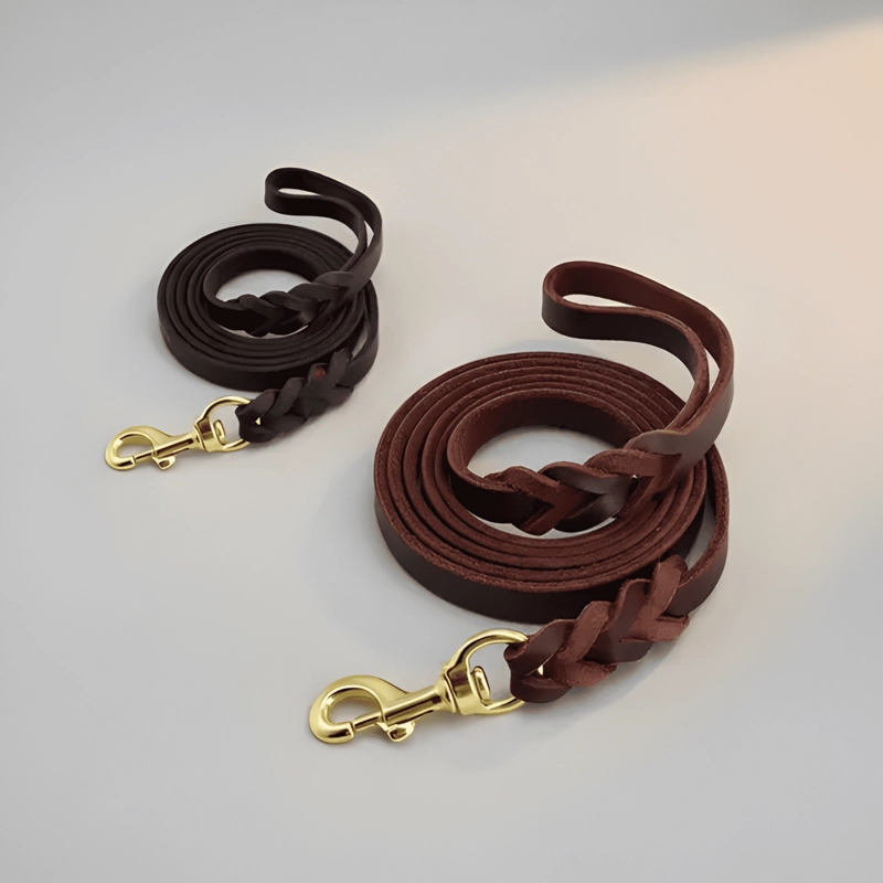 2M X 1.6CM CORREA DE CUERO PARA PERROS MEDIANOS Y GRANDES - 3