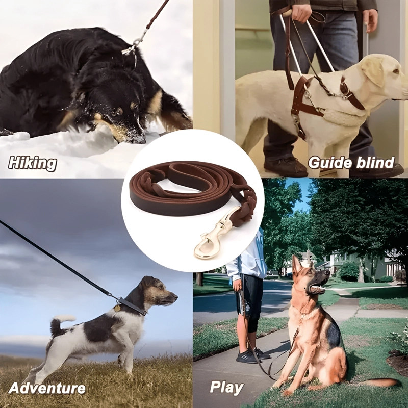 2M CORREA DE CUERO PARA PERROS MEDIANOS Y GRANDES MARRON - 1