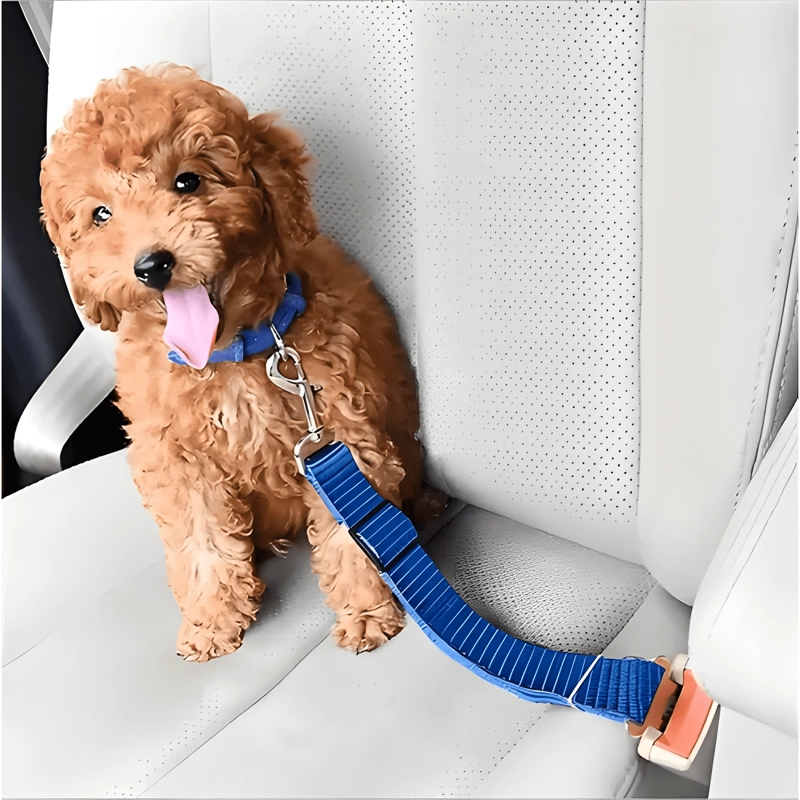 CINTURON SEGURIDAD MASCOTA PERRO AUTO AJUSTABLE CORREA AZUL - 3