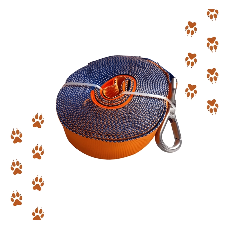CORREA PARA PERROS RESISTENTE PLANA LARGA 6 METROS X 3.8CM - 1