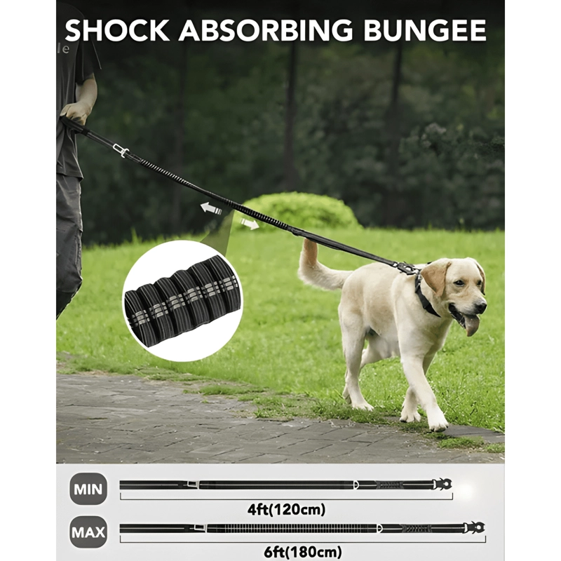 CORREA TACTICA RESISTENTE 5EN1 PARA PERROS MASCOTAS - 3