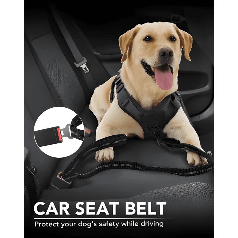 CORREA TACTICA RESISTENTE 5EN1 PARA PERROS MASCOTAS - 4