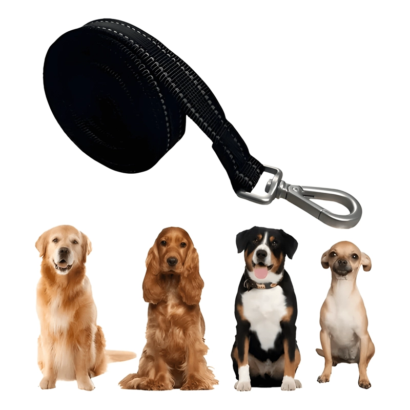 CORREA PARA PERROS LARGA RESISTENTE PLANA 3M X 2.3CM - 1