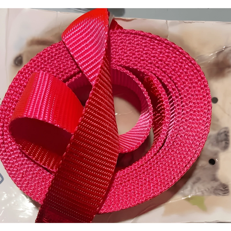 CORREA PLANA LARGA RESISTENTE PARA PERROS 3MTS X 2,5CM - 1