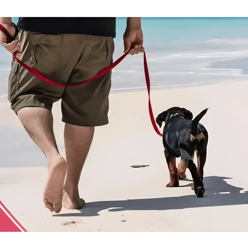 CORREA PLANA LARGA RESISTENTE PARA PERROS 3MTS X 2,5CM - 3