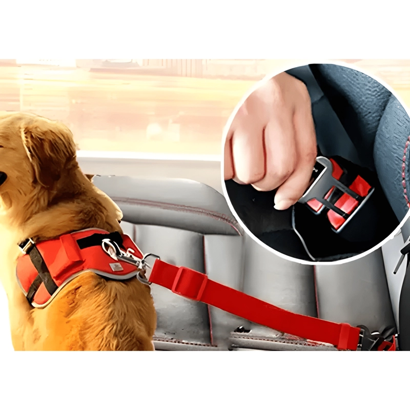 CORREA CINTURON DE SEGURIDAD PARA PERRO Y GATOS - EN AUTO - 1