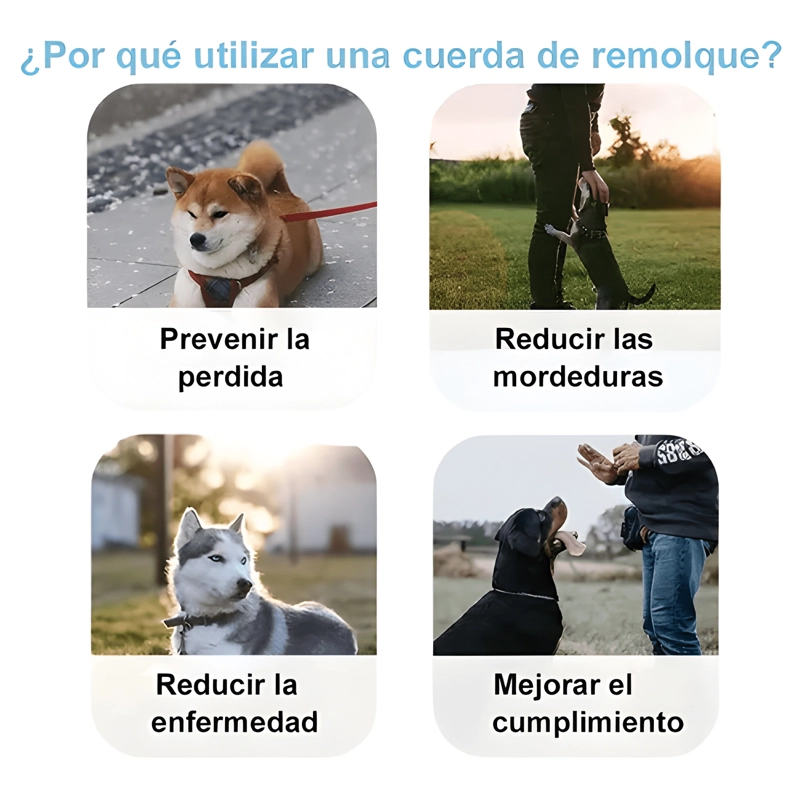 CORREA RETRACTIL LM DE 5 M PARA PERRO Y GATO, HASTA 14 KG - 3
