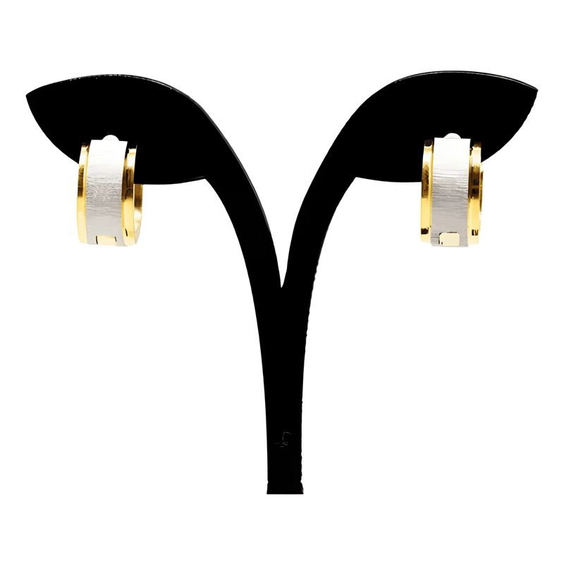 AROS ARGOLLA BISAGRA ACERO QUIRURGICO AB08 1 PAR - 1