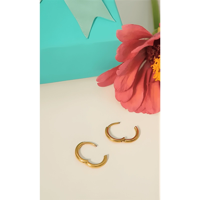 ARGOLLAS LISAS AURA 10MM TITANIO ASTM F136 CHAPADO DORADO - 4
