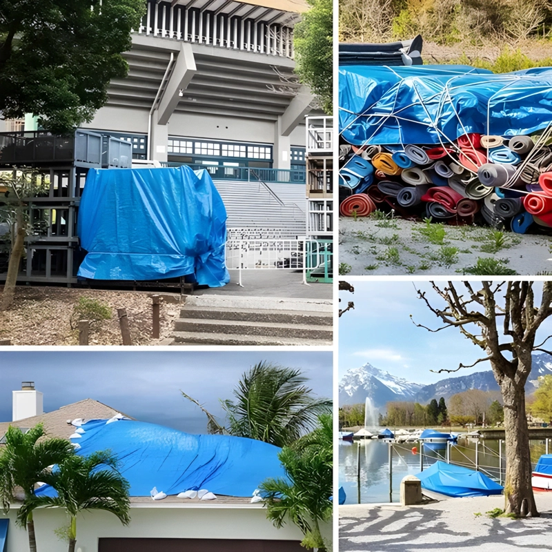 LONA MULTIUSO COBERTOR DE PISCINA CON OJETILLOS 8X4 M #7 - 3