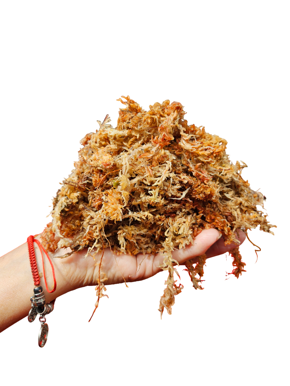 MUSGO SPHAGNUM HIDRATADO Y EXPANDIDO 6 LITROS - 1