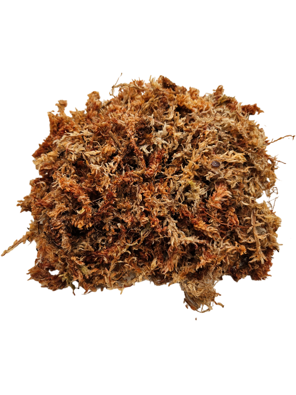 MUSGO SPHAGNUM HIDRATADO Y EXPANDIDO 6 LITROS - 2