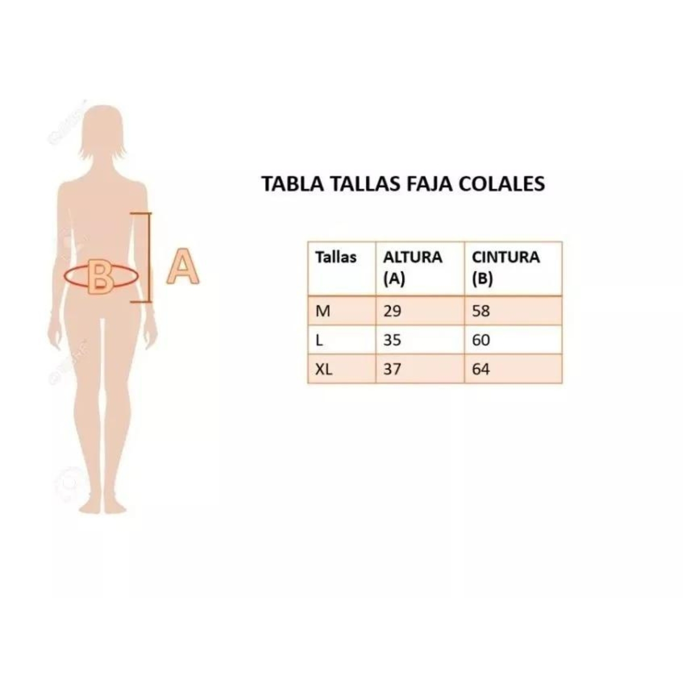 CALZÓN FAJA ALTO INVISIBLE REDUCTOR MODELADOR CINTURA COLALESS - 5