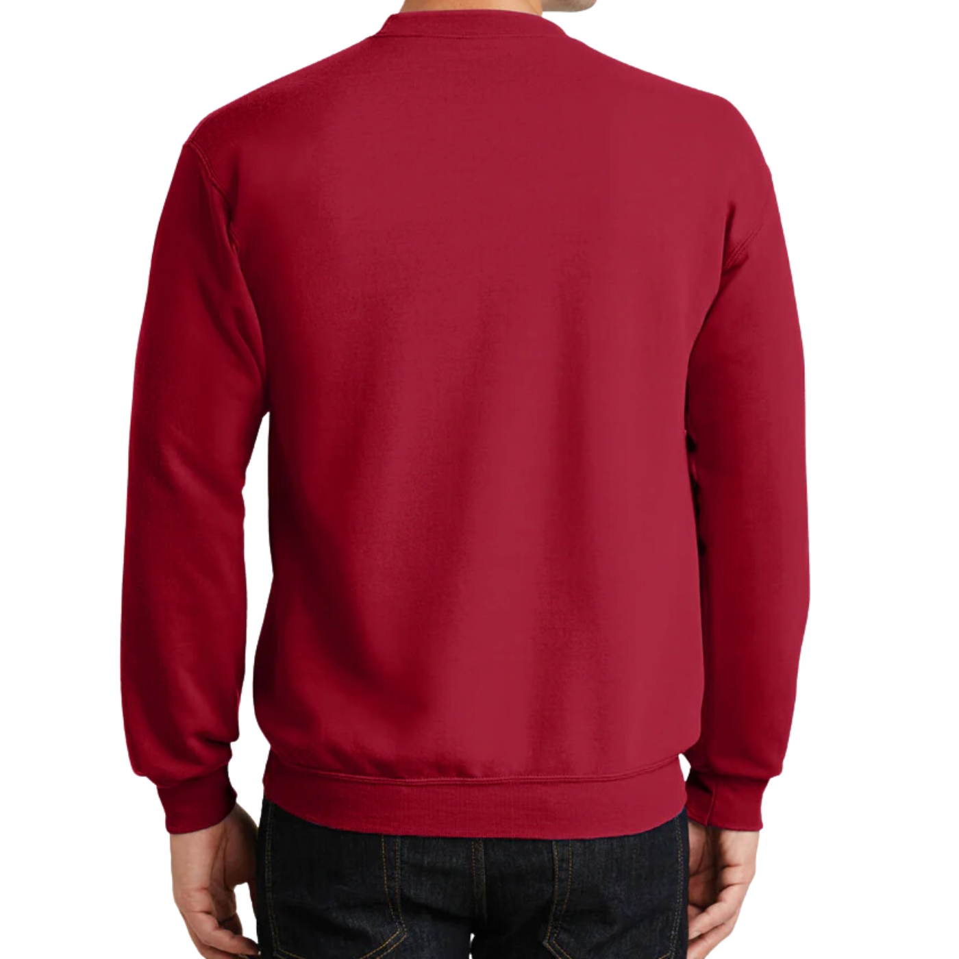POLERON CUELLO POLO INVIERNO. FORRO POLAR. UNISEX 436 - 2