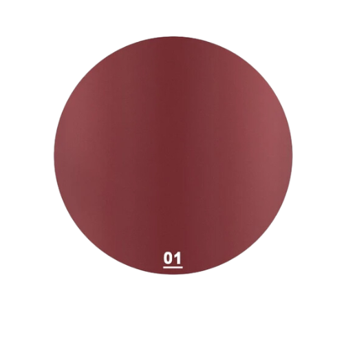 PACK 2 LABIAL LIQUIDO 24HRS DE LARGA DURACION 437 - 5