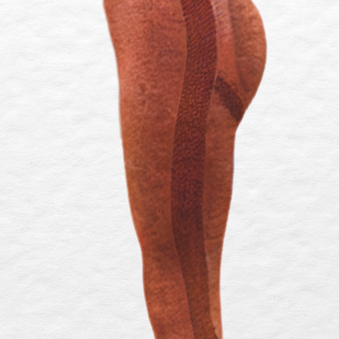CALZA MUJER DEPORTIVA FITNESS GYM TIRO ALTO LEVANTA COLA 9003 - 2