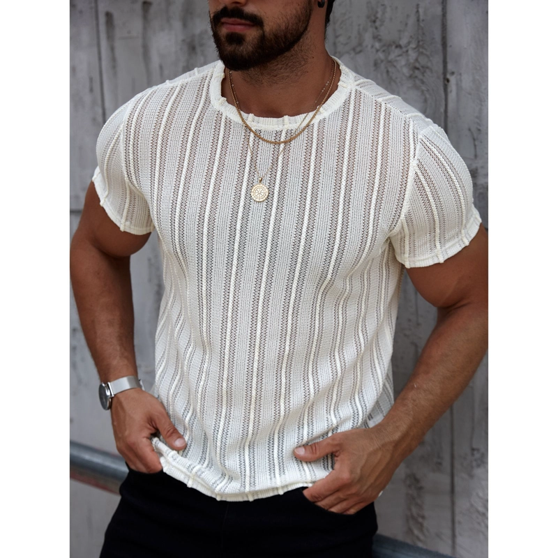 POLERA HOMBRE MANGA CORTA TEJIDA CUELLO REDONDO CASUAL 0275 - 2
