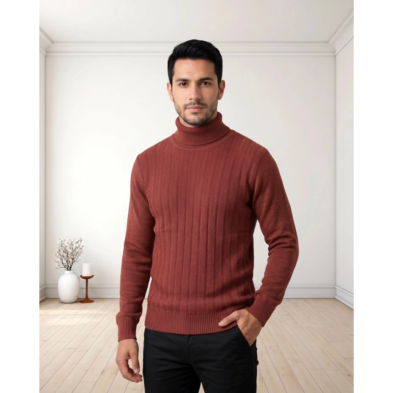 SWEATER TEJIDO HOMBRE DISEÑO CUELLO SUBIDO BEATLE 7258 - 1