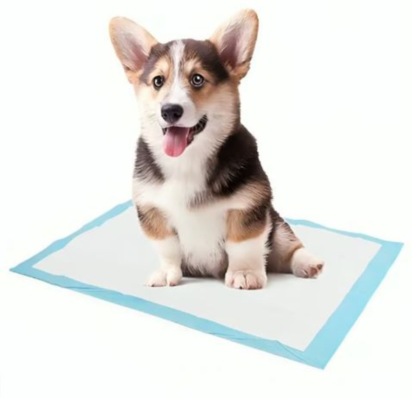 SABANILLAS DE ENTRENAMIENTO PERROS GATOS OEM PAÑALES TIPO 20 UNIDADES MASCOTAS 90 X 60 CM - 1