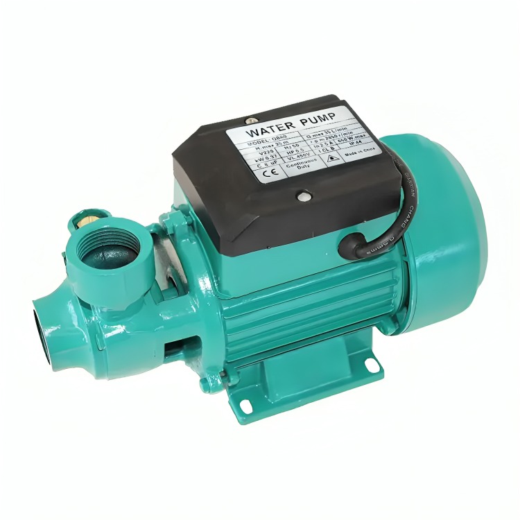 BOMBA DE AGUA PERIFÉRICA 0.5HP 35L/MIN QB60 220V - 2