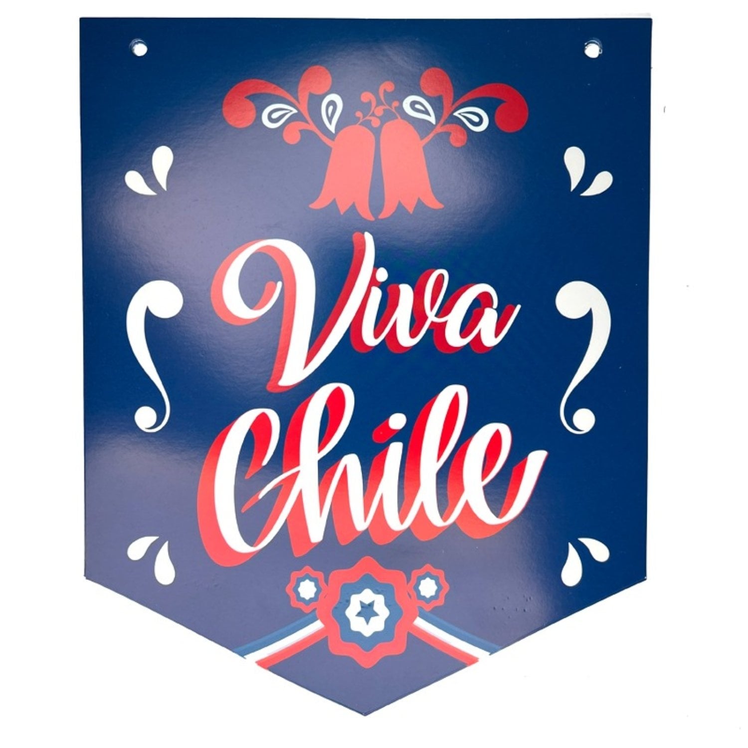 PACK X 4 GUIRNALDA 18 BANDERA 25 METROS – BIG PARTY - 3