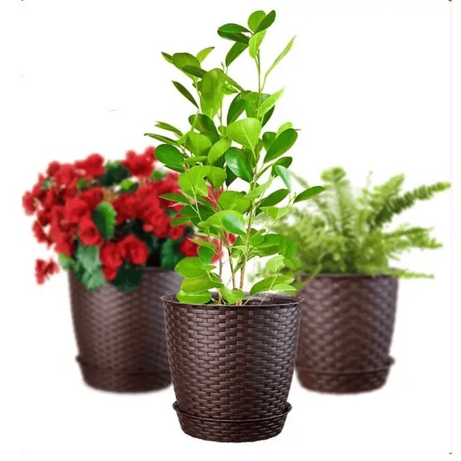 MACETA REDONDA ESTILO RATAN 18×16 CM MARRON MORO – REYPLAST - 2