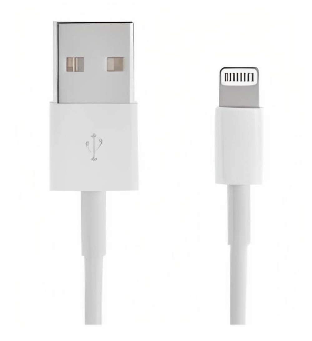 OEM CABLE LIGHTNING USB IPHONE 5 / 6 IPAD WHITE