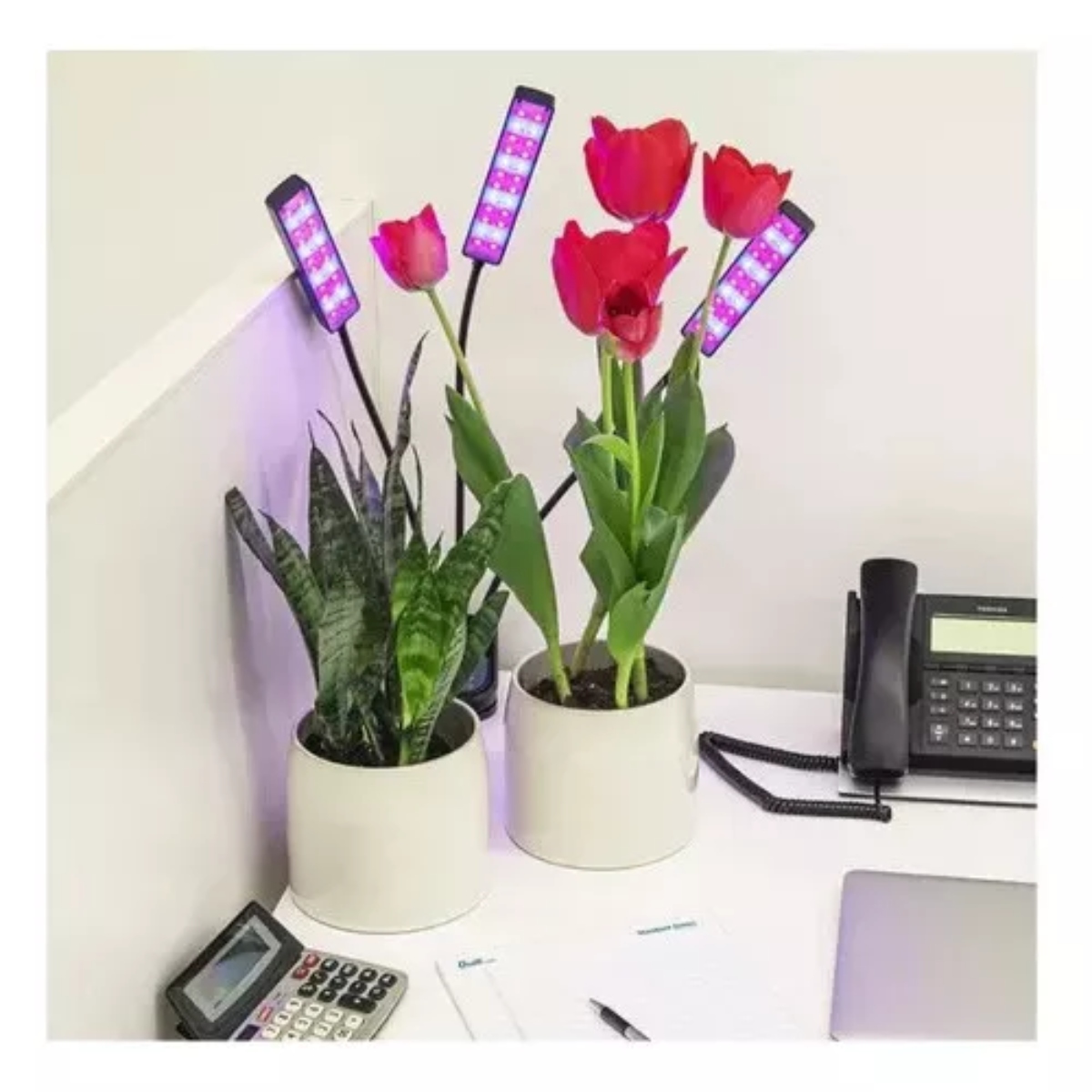 LÁMPARA INDOOR LED OEM PARA CULTIVOS DE PLANTAS - 3