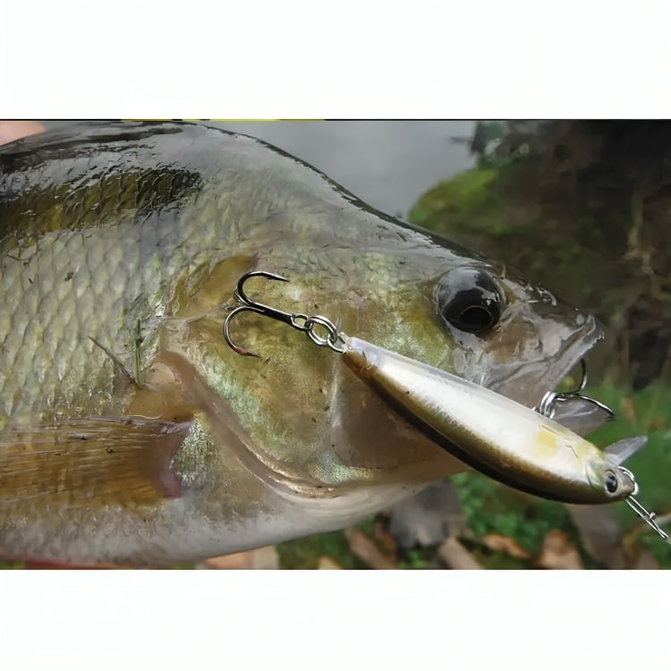PACK 10 SEÑUELOS PESCA RAPALA 7.2CM LENGUADO CORVINA - 5