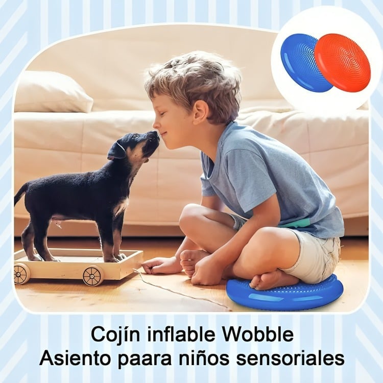 COJÍN AUTISMO SENSORIAL PROPIOCEPTIVO YOGA BALONES +INFLADOR - 4