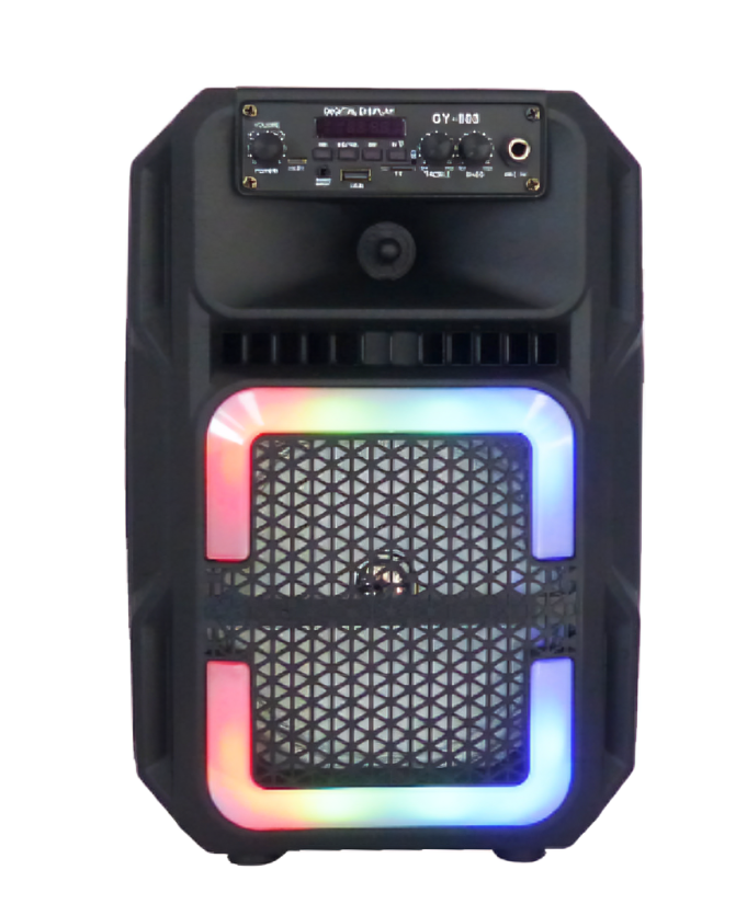 PARLANTE KARAOKE GY803 8' BT USB RGB - 2