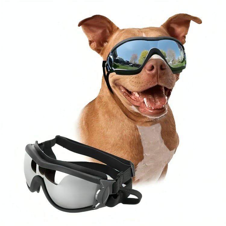 GAFAS DE SOL PARA PERRO ANTI-UV PROTECTOR DE OJOS AJUSTABLE - 2
