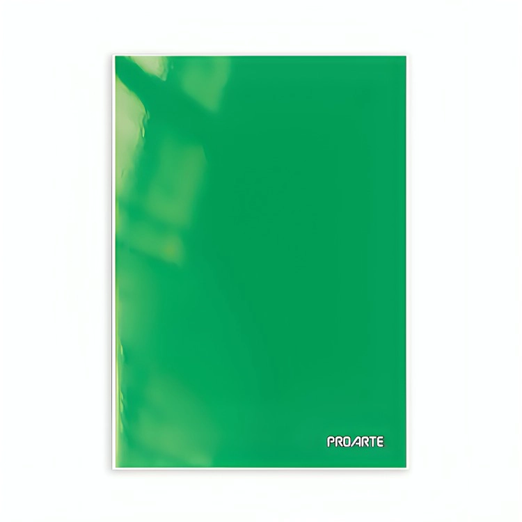 PACK 4 CARPETA CON GUSANO / VERDE – PROARTE - 2