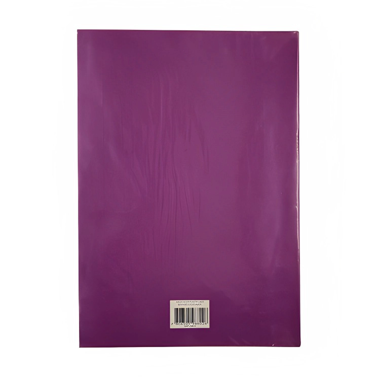 PACK 4  ARCHIVADOR PLASTIFICADO CON GUSANO / MORADO – AUCA - 2