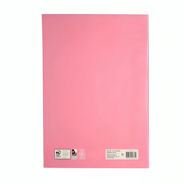 PACK 4 ARCHIVADOR PLASTIFICADO CON GUSANO / ROSADO – TORRE - 1