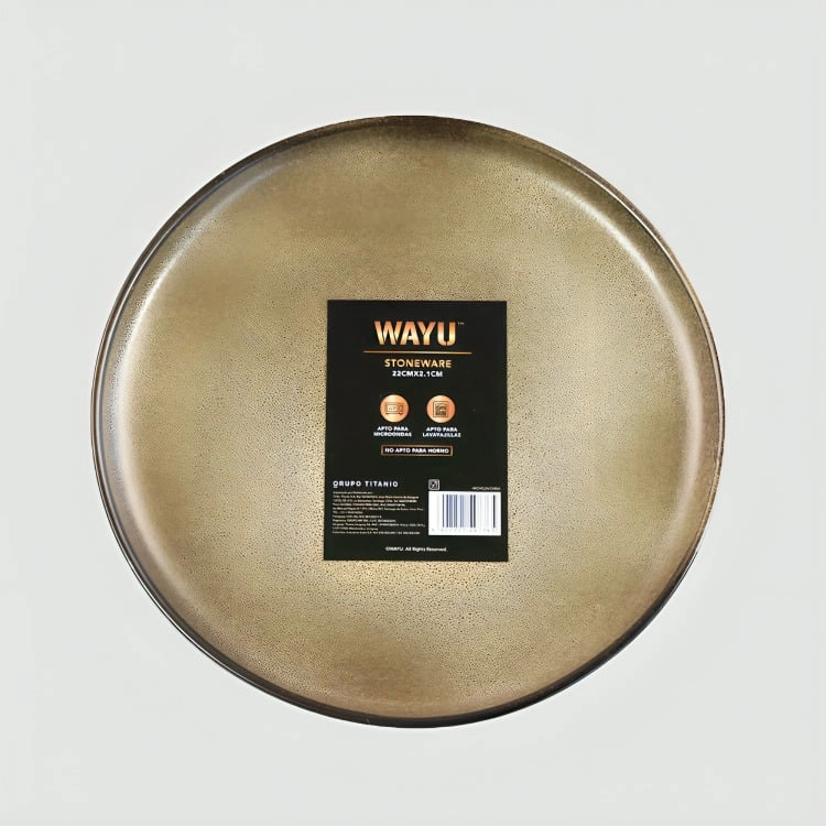 PLATO 21 CM CERAMICA GRES - 2