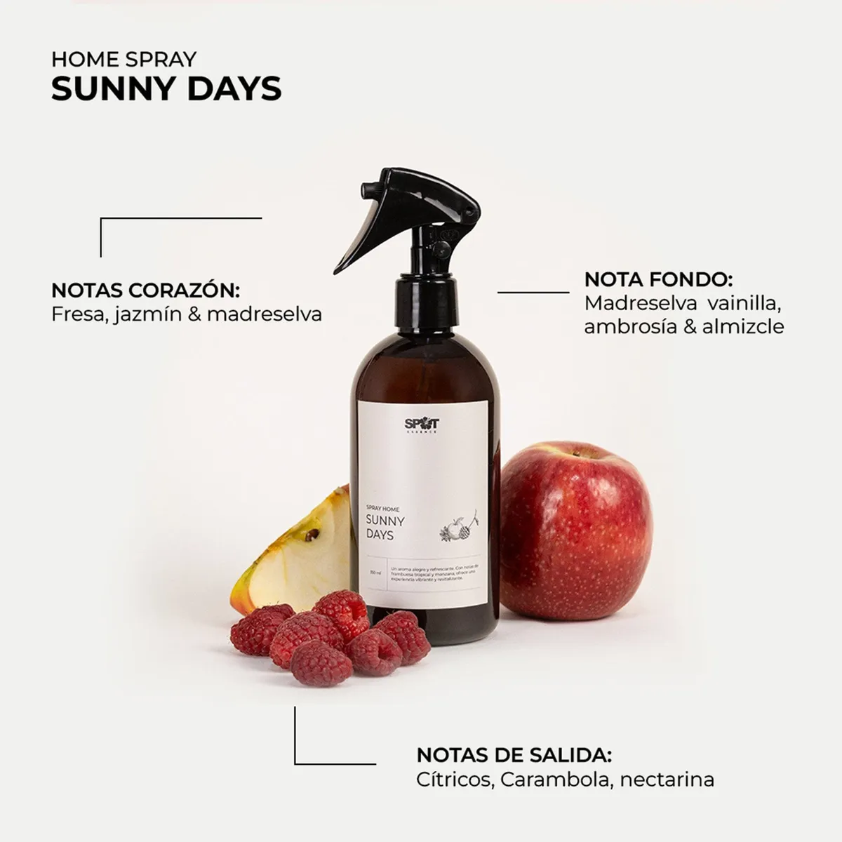 SPRAY HOME 350ML SUNNY DAYS SPOT ESSENCE - 2