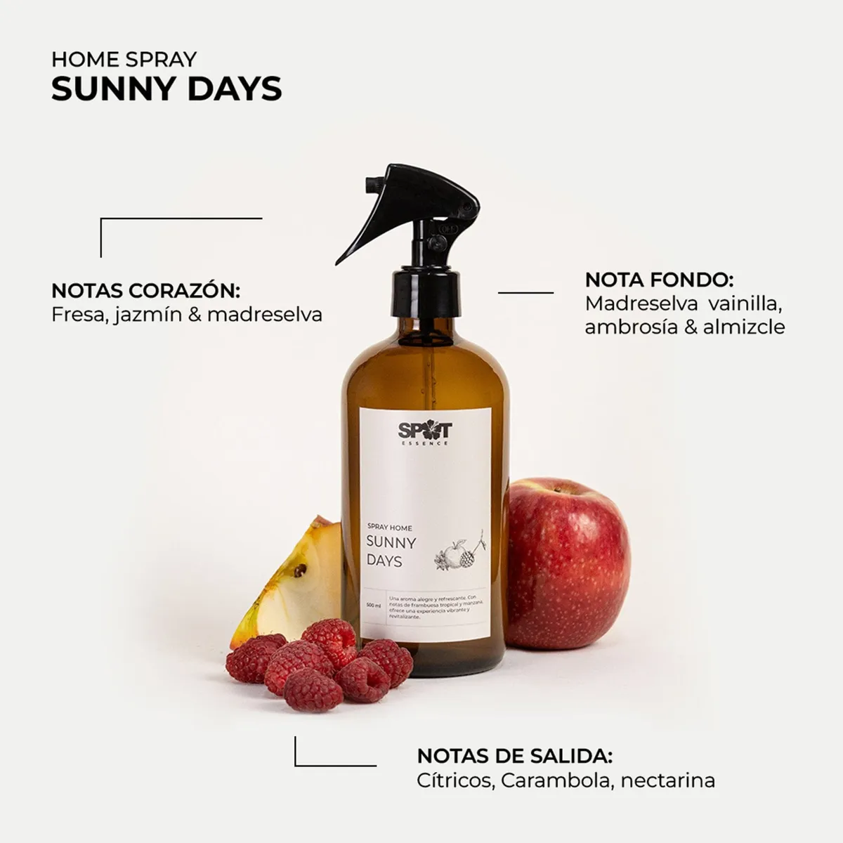 SPRAY HOME LH 500ML AMBAR SUNNY DAYS SPOT ESSENCE - 2