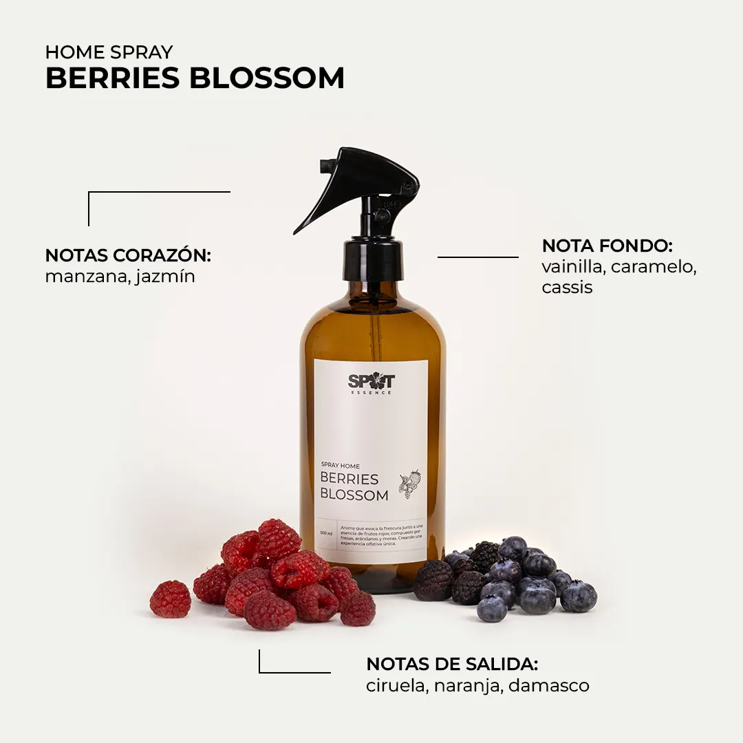 HOME SPRAY LH 500ML AMBAR BERRIES BLOSSOM SPOT ESSENCE - 3