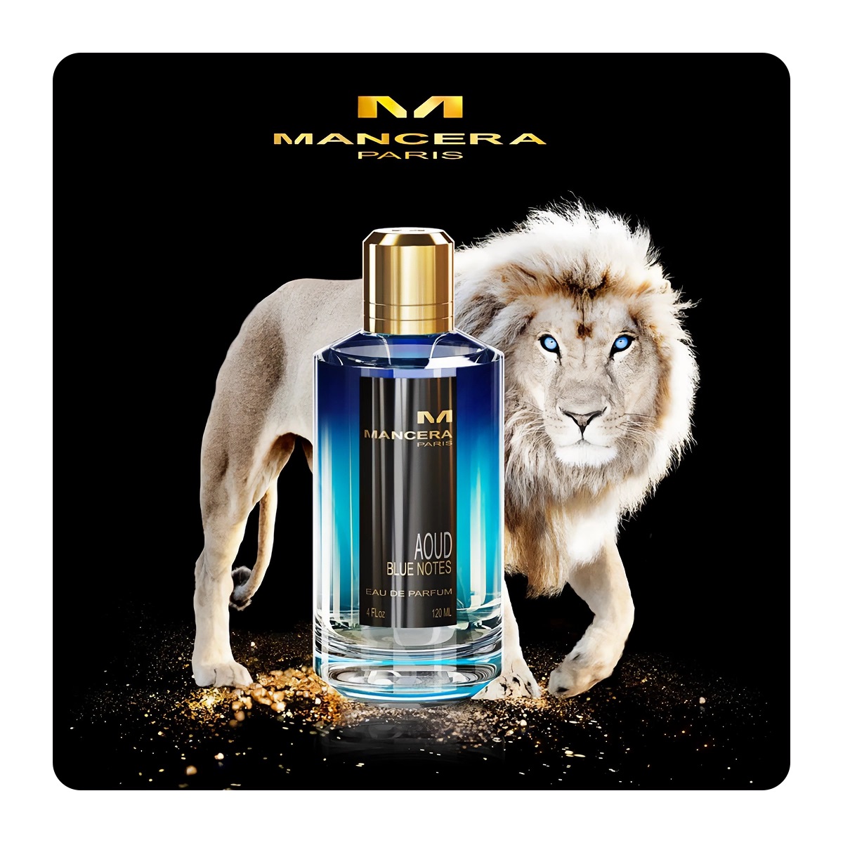 MANCERA AOUD BLUE NOTES 120 ML EDP - 3