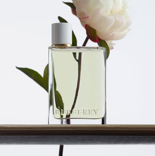 BURBERRY HER  100 ML EDT - 4