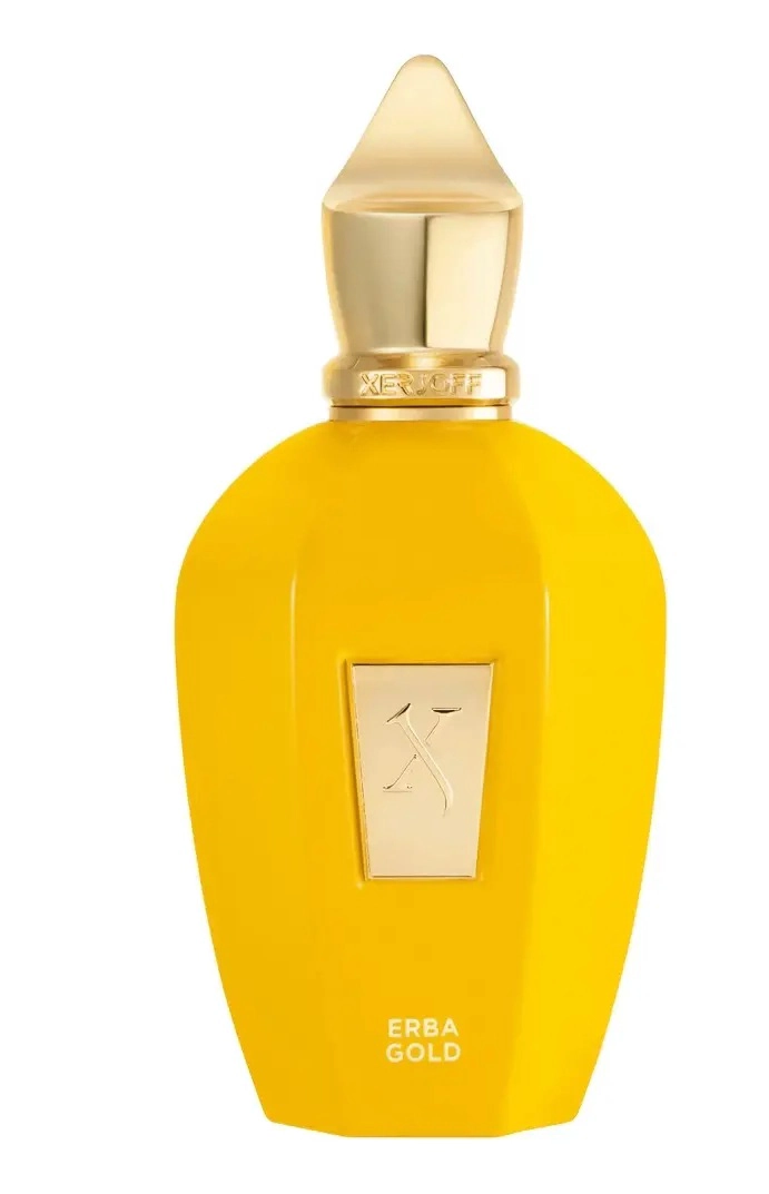 ERBA GOLD 100 ML EDP XERJOFF - 2