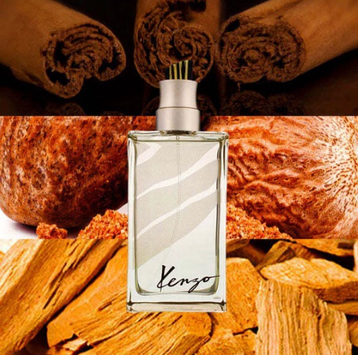 JUNGLE HOMME EDT 100 ML - 2