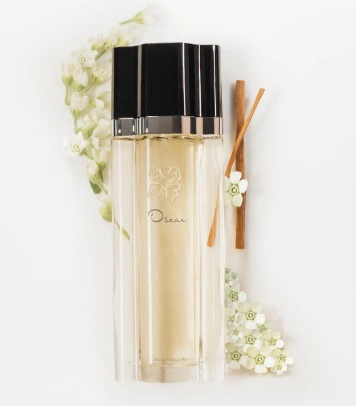OSCAR EDT 100 ML - 2