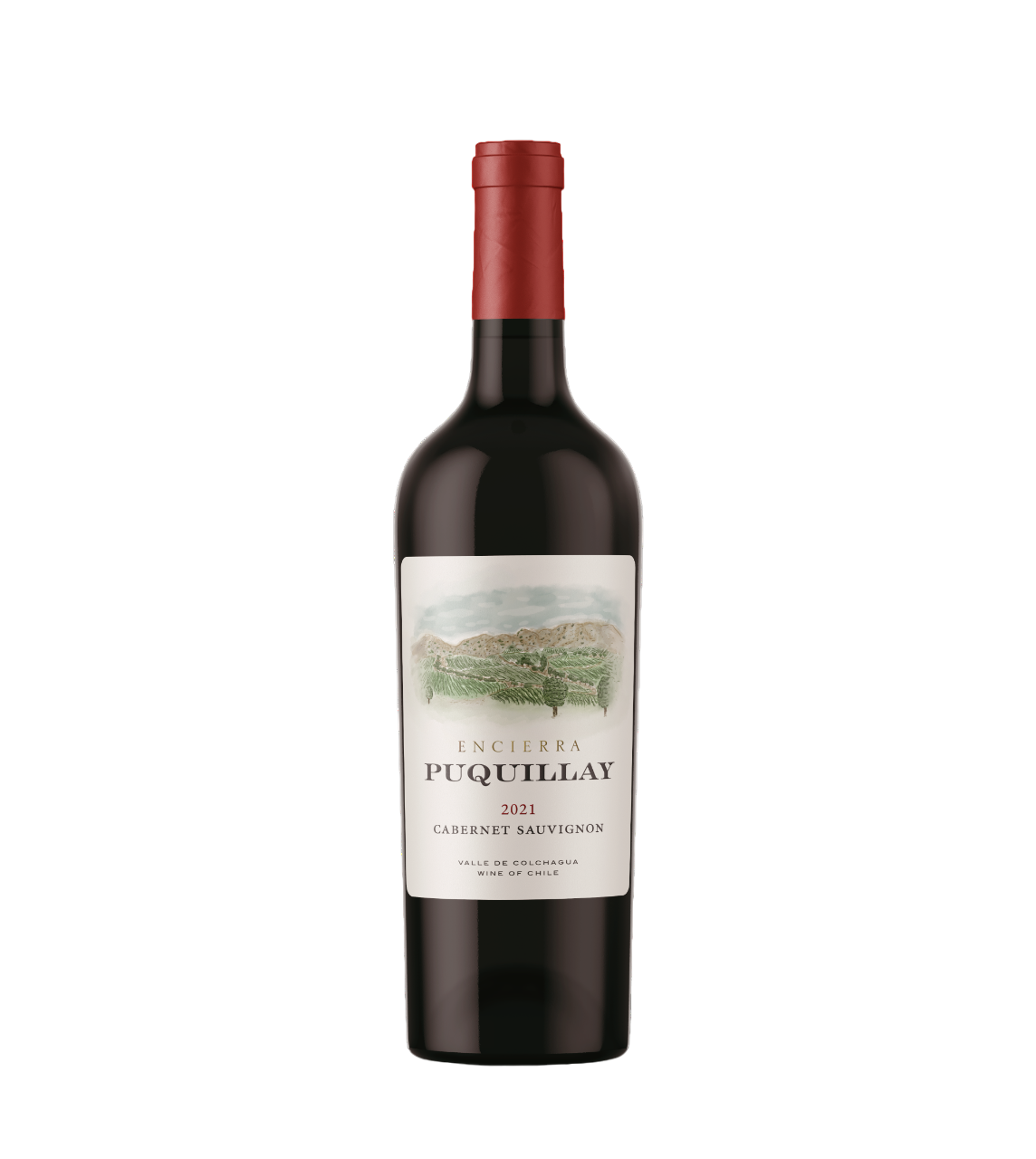 VINO TINTO ENCIERRA PUQUILLAY CABERNET SAUVIGNON 2021, 100% CABERNET SAUVIGNON - 1