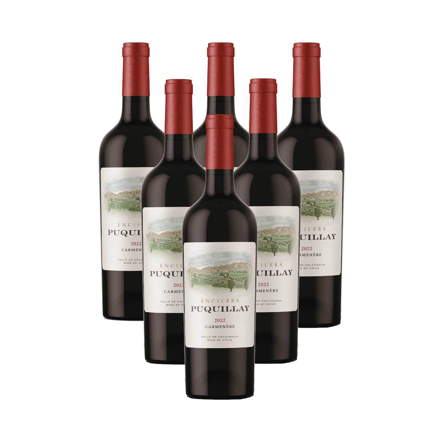6 BOTELLAS VINO TINTO ENCIERRA PUQUILLAY CARMENERE 2022, 100% CARMENERE - 1